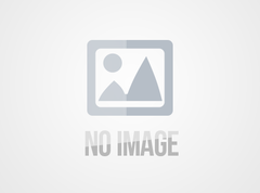 Etablierung der menschlichen Ernährung und Gesundheit, Verbesserung der Lebensqualität